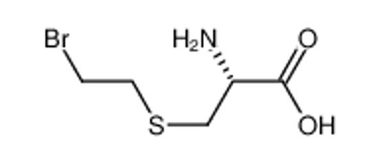 Picture of (2R)-2-amino-3-(2-bromoethylsulfanyl)propanoic acid