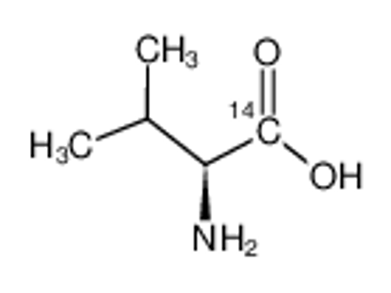 Picture of L-VALINE, [1-14C]-