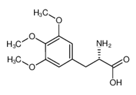 Picture of (2S)-2-amino-3-(3,4,5-trimethoxyphenyl)propanoic acid