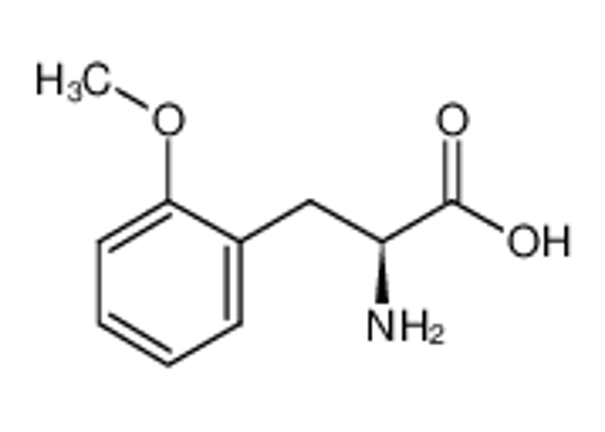 Picture of (2S)-2-amino-3-(2-methoxyphenyl)propanoic acid