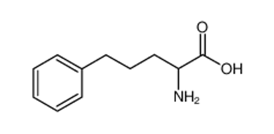 Picture of 2-Amino-5-phenylpentanoic acid