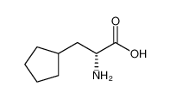 Picture of (2R)-2-amino-2-cyclobutylacetic acid