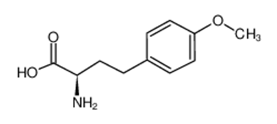 Picture of (2R)-2-amino-4-(4-methoxyphenyl)butanoic acid