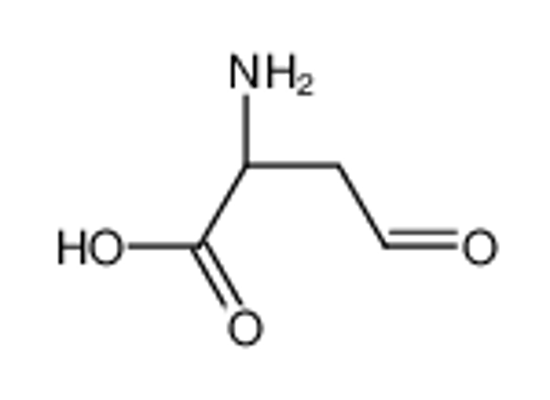 Picture of (2S)-2-Amino-4-oxobutanoic acid