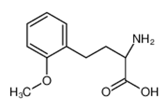 Picture of (2S)-2-amino-4-(2-methoxyphenyl)butanoic acid