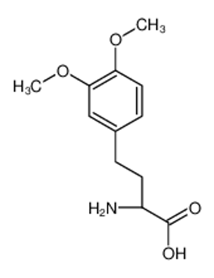 Picture of (2S)-2-amino-4-(3,4-dimethoxyphenyl)butanoic acid