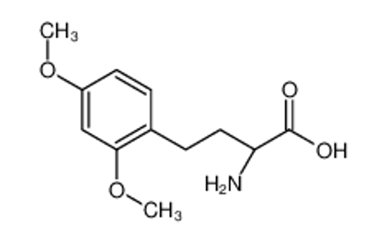 Picture of (2S)-2-amino-4-(2,4-dimethoxyphenyl)butanoic acid