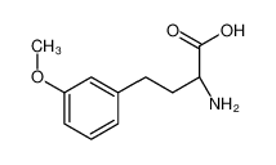 Picture of (2S)-2-amino-4-(3-methoxyphenyl)butanoic acid