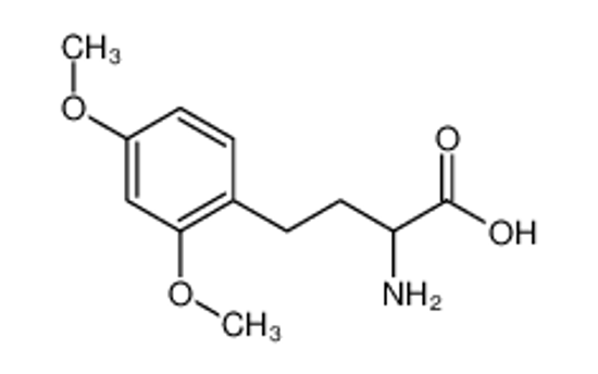 Picture of 2-amino-4-(2,4-dimethoxyphenyl)butanoic acid