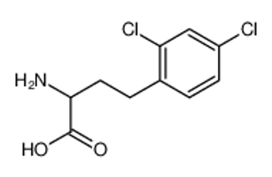 Picture of 2-amino-4-(2,4-dichlorophenyl)butanoic acid