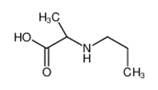 Picture of (2S)-2-(propylamino)propanoic acid
