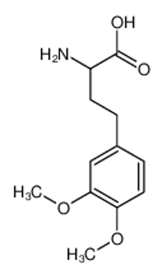 Picture of 2-amino-4-(3,4-dimethoxyphenyl)butanoic acid