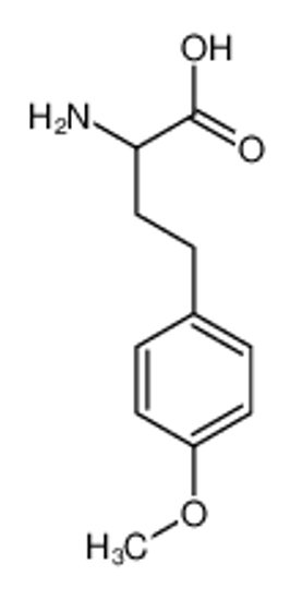 Picture of 2-amino-4-(4-methoxyphenyl)butanoic acid