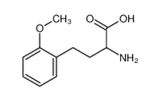 Picture of 2-amino-4-(2-methoxyphenyl)butanoic acid
