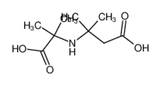 Picture of β-(1-carboxy-1-methyl-ethylamino)-isovaleric acid