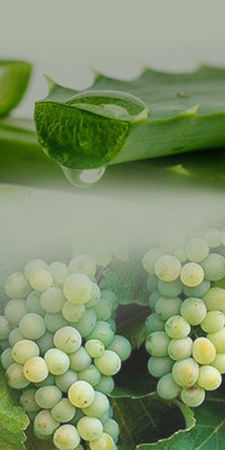 Show products in category Natural Products and Extracts